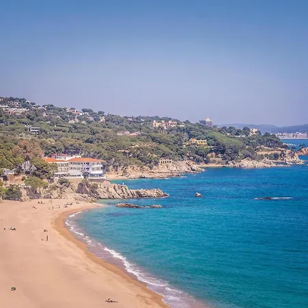 Amazing In بلاتجا ذارو